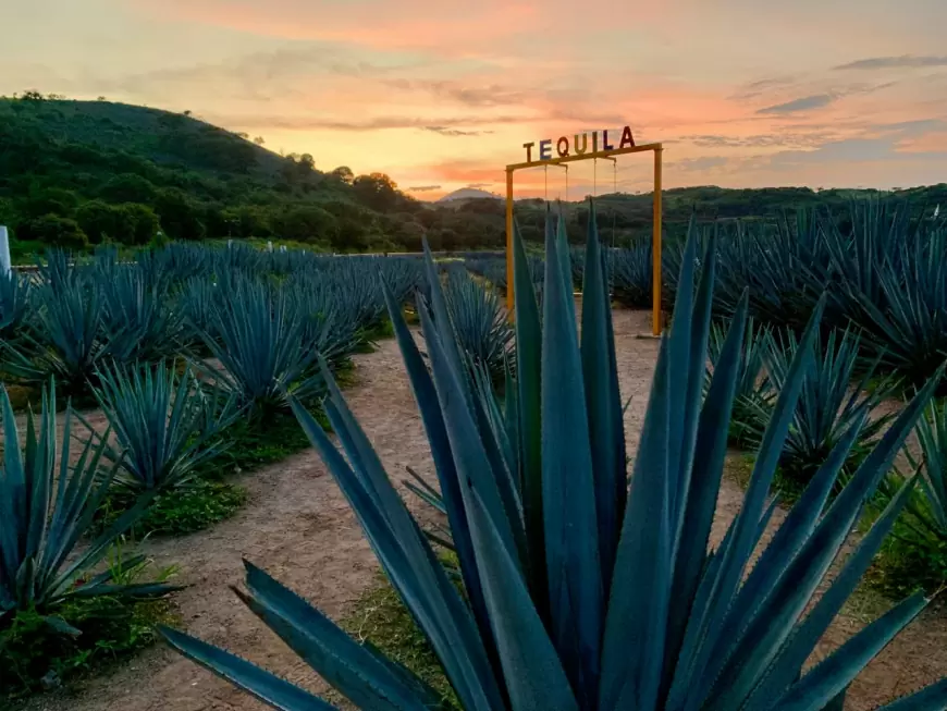 Guadalajara / Amatitán / Tequila / Guadalajara